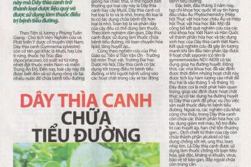 Tác dụng của dây thìa canh