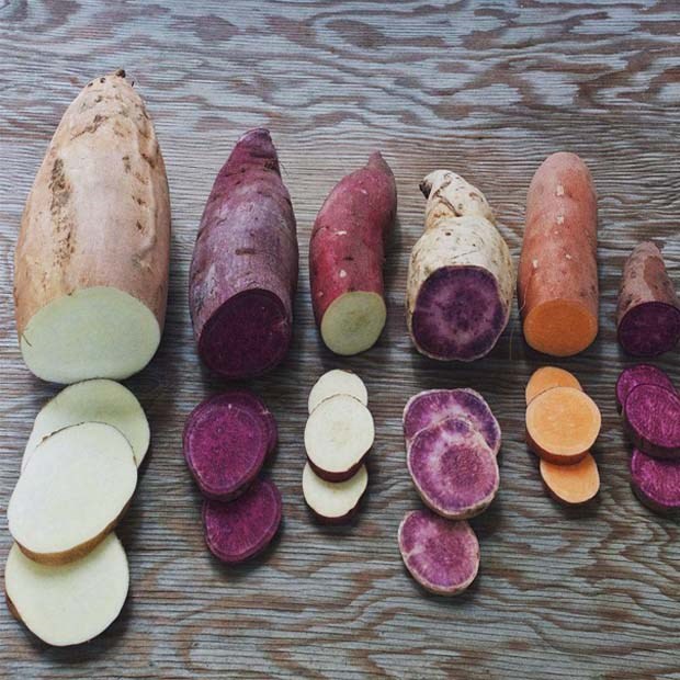 Tên 12 loại khoai ở Việt Nam, bạn có thể kể hết không?