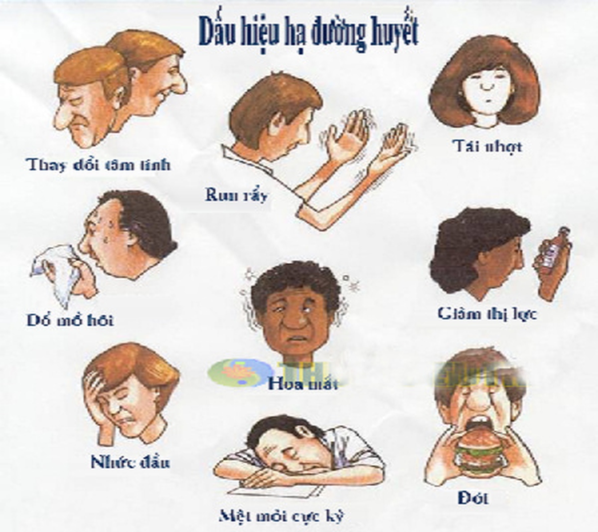 Dấu hiệu hạ đường huyết trên bệnh nhân đái tháo đường - Tuổi Trẻ Online